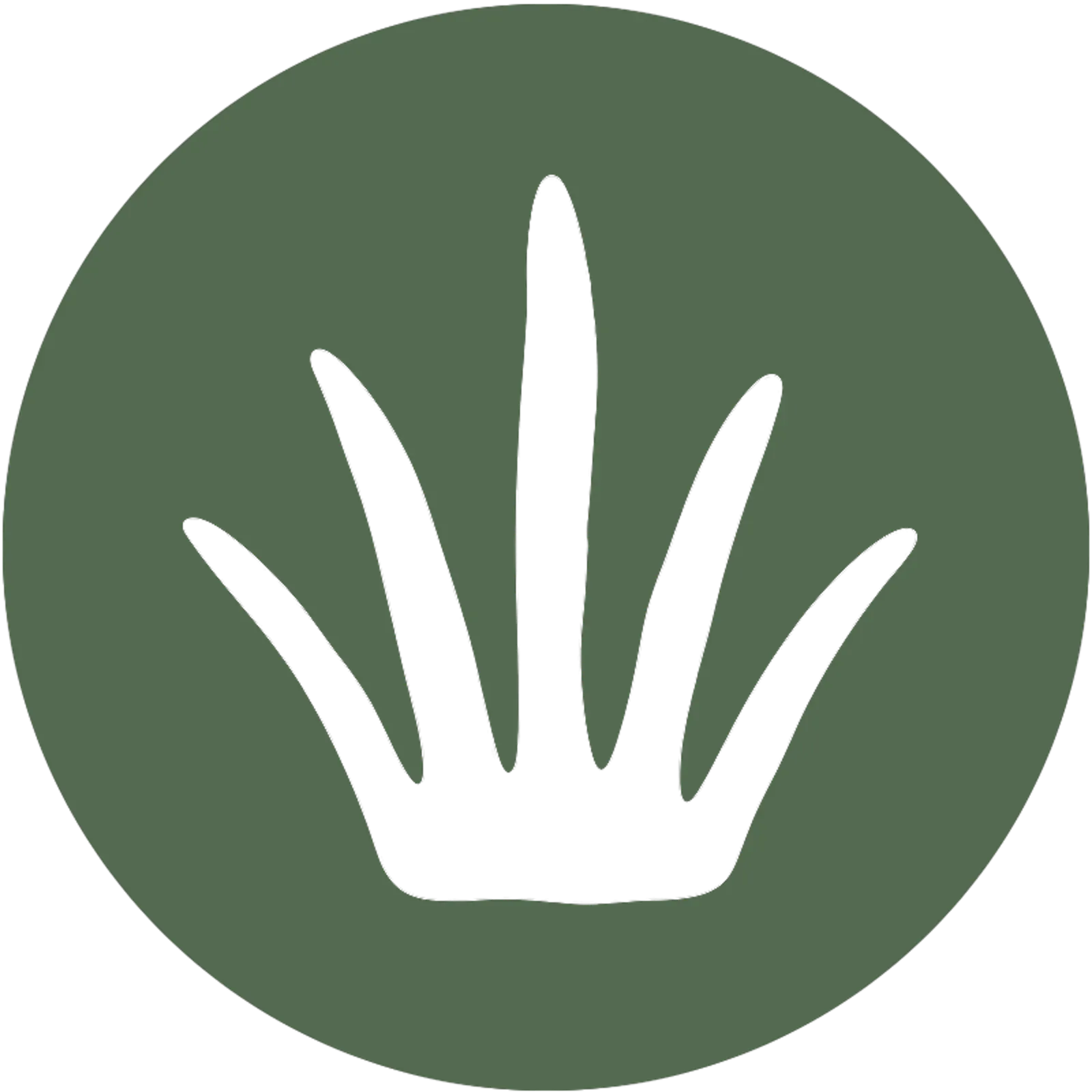 TouchGrass screenshot 1