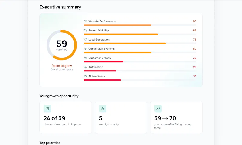 LocalBusinessAudit screenshot 3