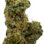 Chem De La Chem (Hybrid/Sativa)