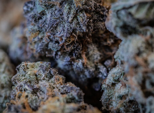 Weed Delivery in Waterloo