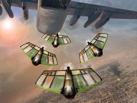 Windhorse Pouncer gallery image