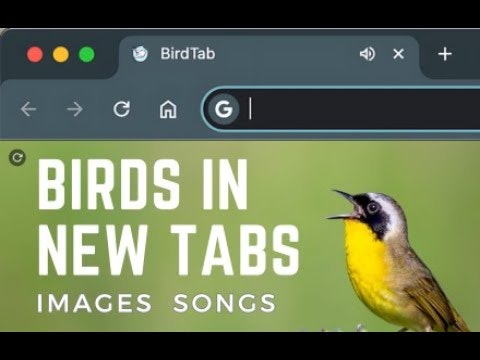 BirdTab gallery image