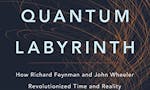 The Quantum Labyrinth image