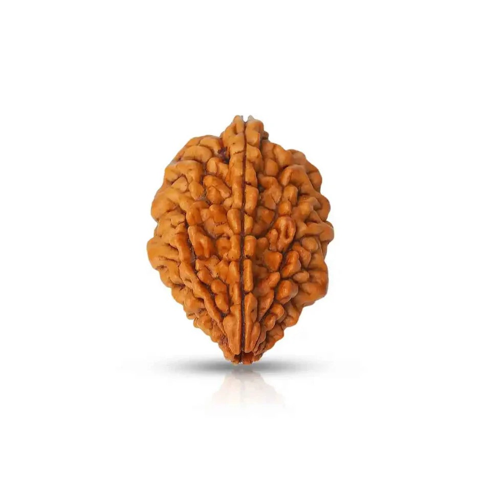 Média Astro qui change la vie - Rudraksha 1