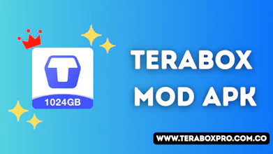 terabox pro gallery image