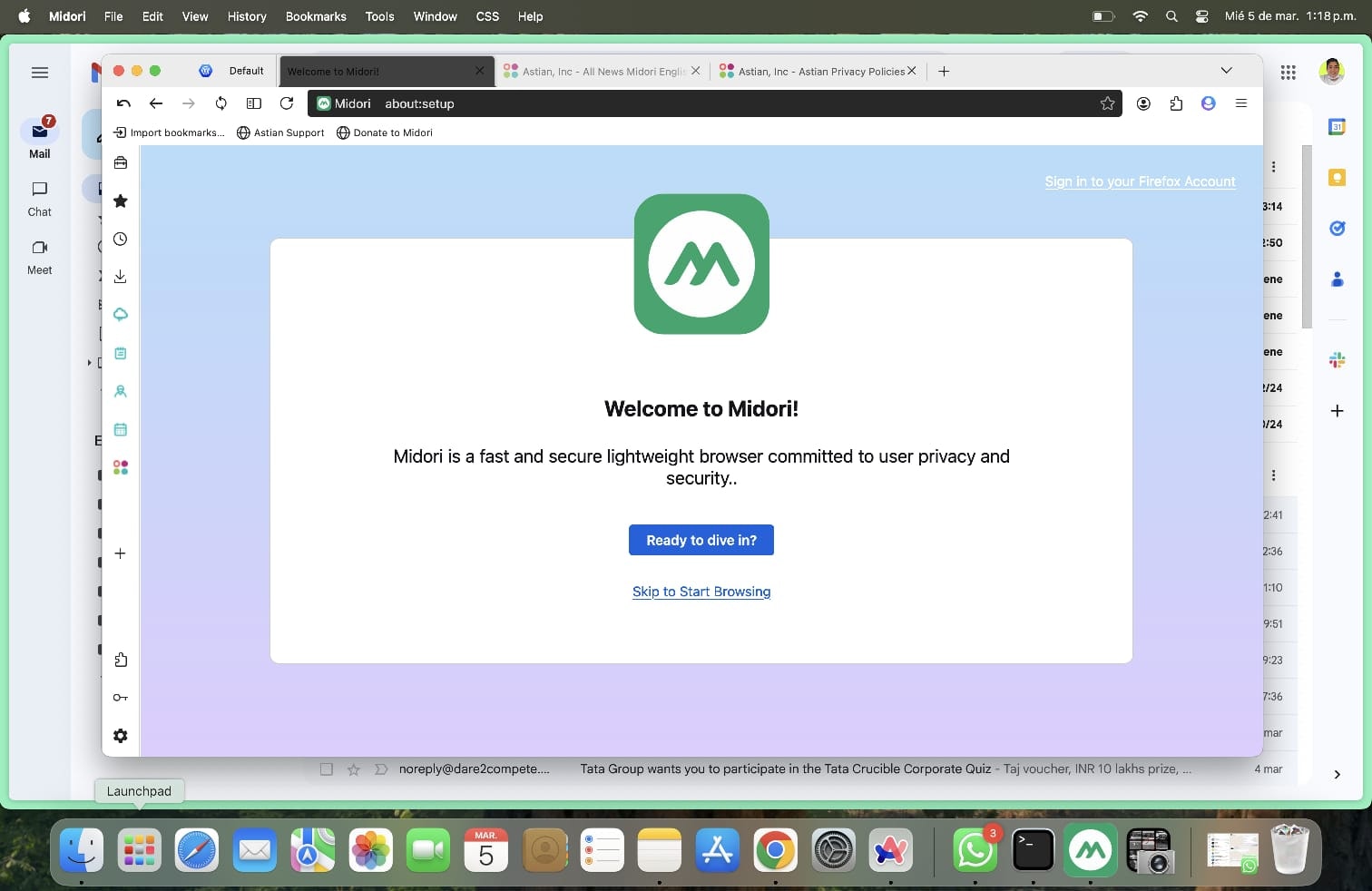 Midori Browser gallery image
