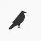 TheRaven | Software Development Company