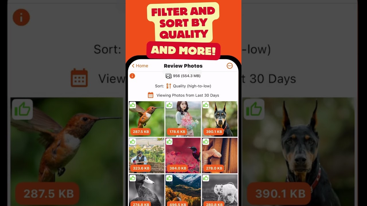 PhotoBase Cleaner gallery image