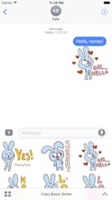 Crazy Bunny Sticker gallery image