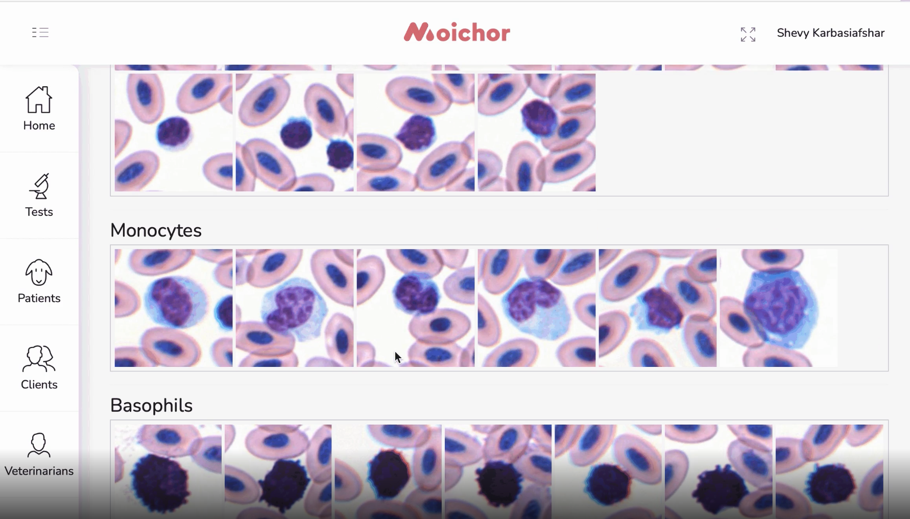 Moichor gallery image
