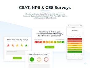 Nicereply Website Pop-up Surveys gallery image