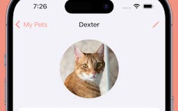 Dex - Pet care media 1