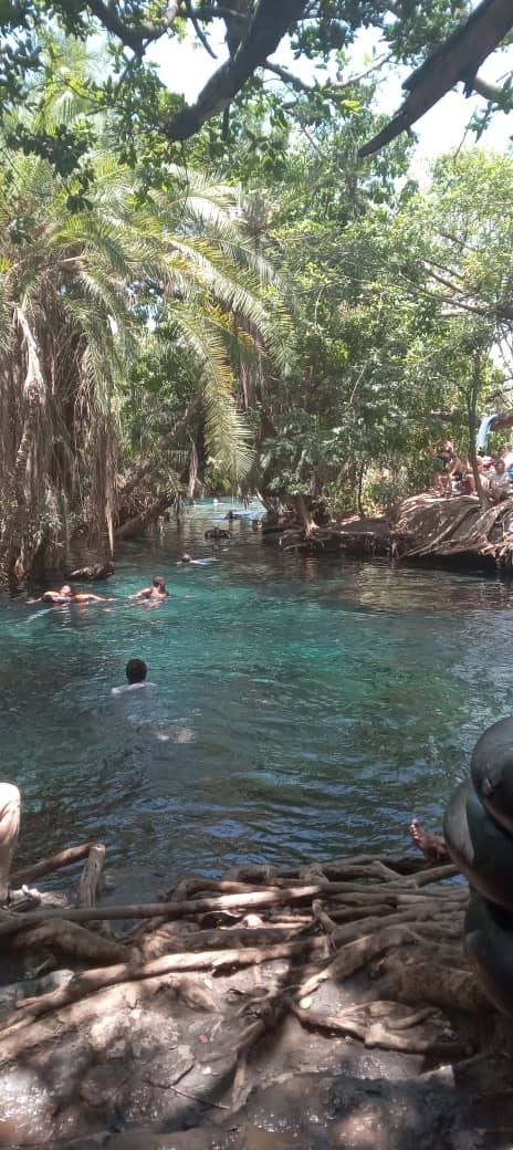 Africantrust Safari media 159