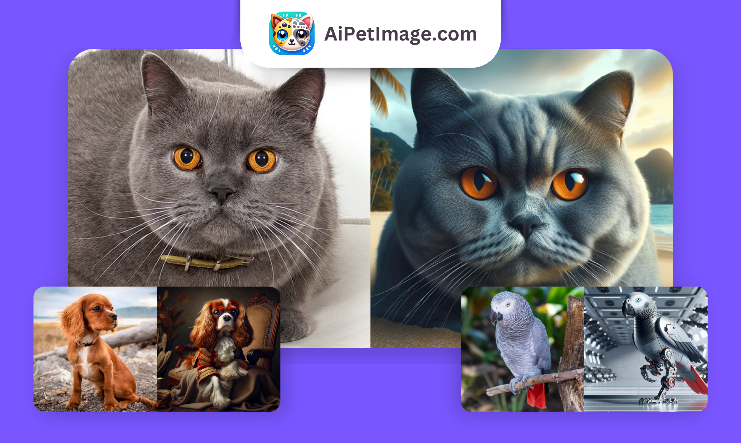 Aipetimage - Holen Sie sich KI -Bilder Ihres Haustieres, alles, was Sie sich vorstellen können! Medien 2