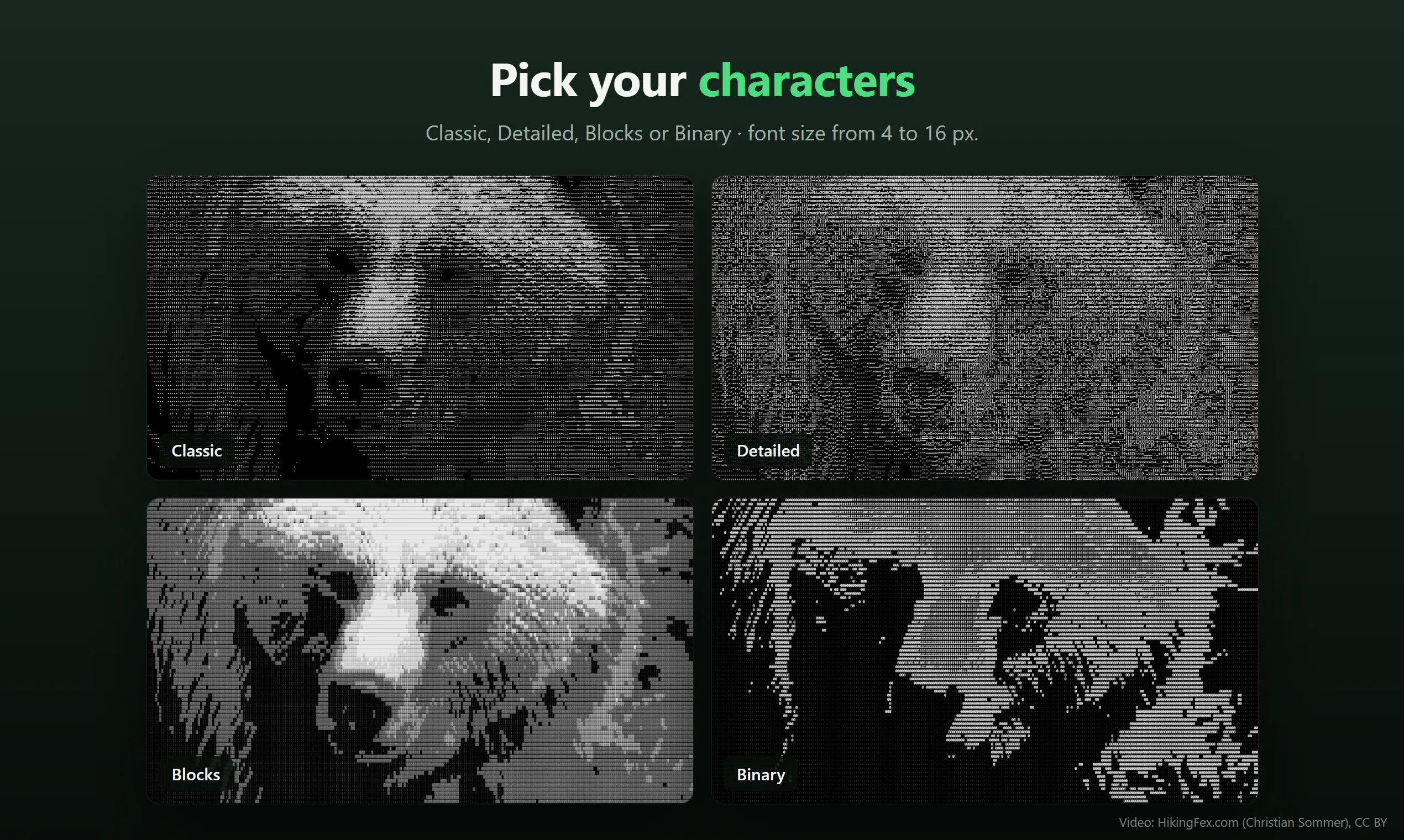 ASCII Player gallery image