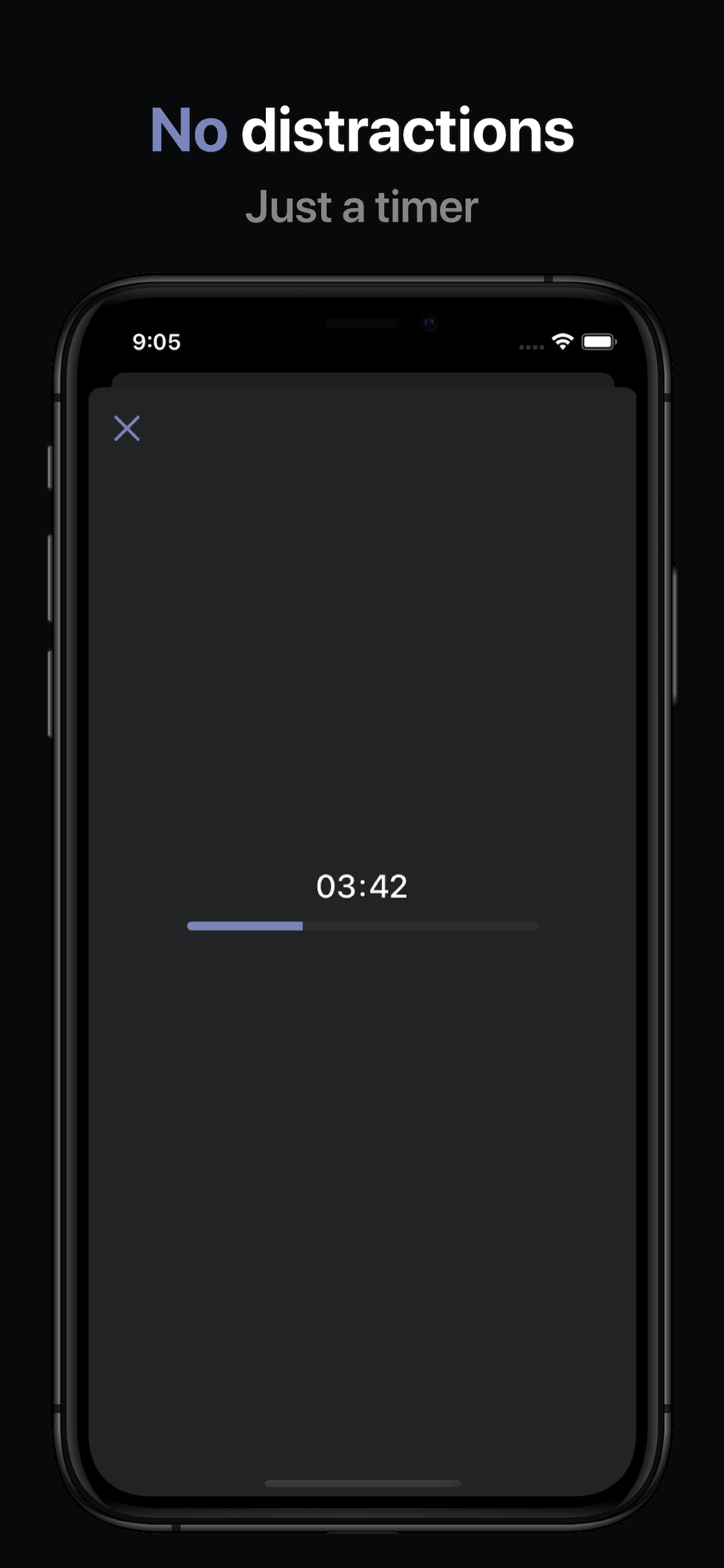 Essential gallery image
