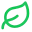 CleanSheet AI logo