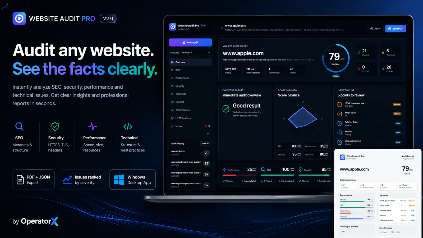 Website Audit Pro screenshot 1
