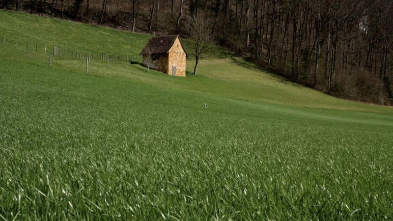DeepCalm screenshot 1 (video preview)