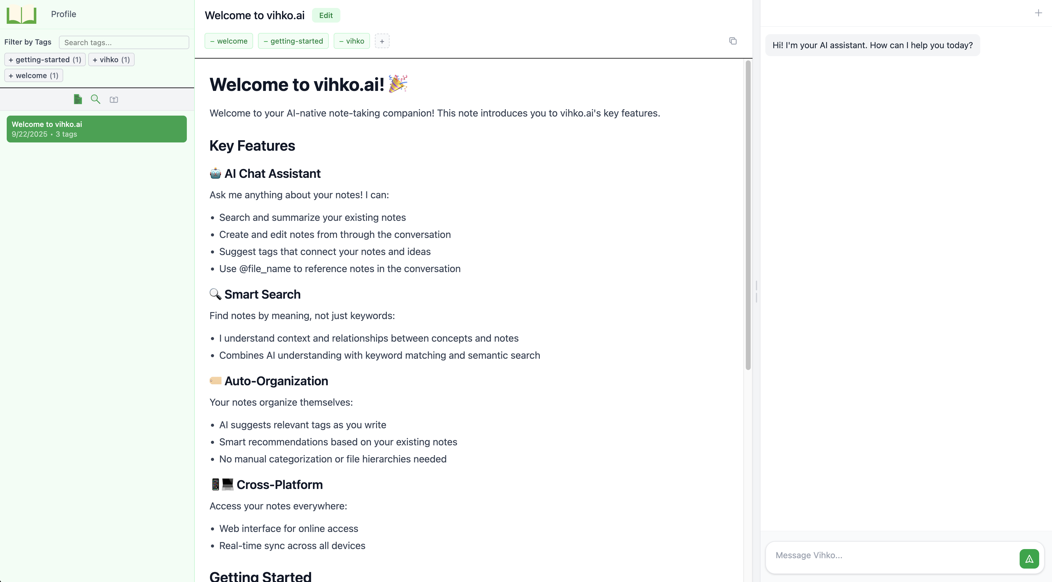 vihko.ai gallery image