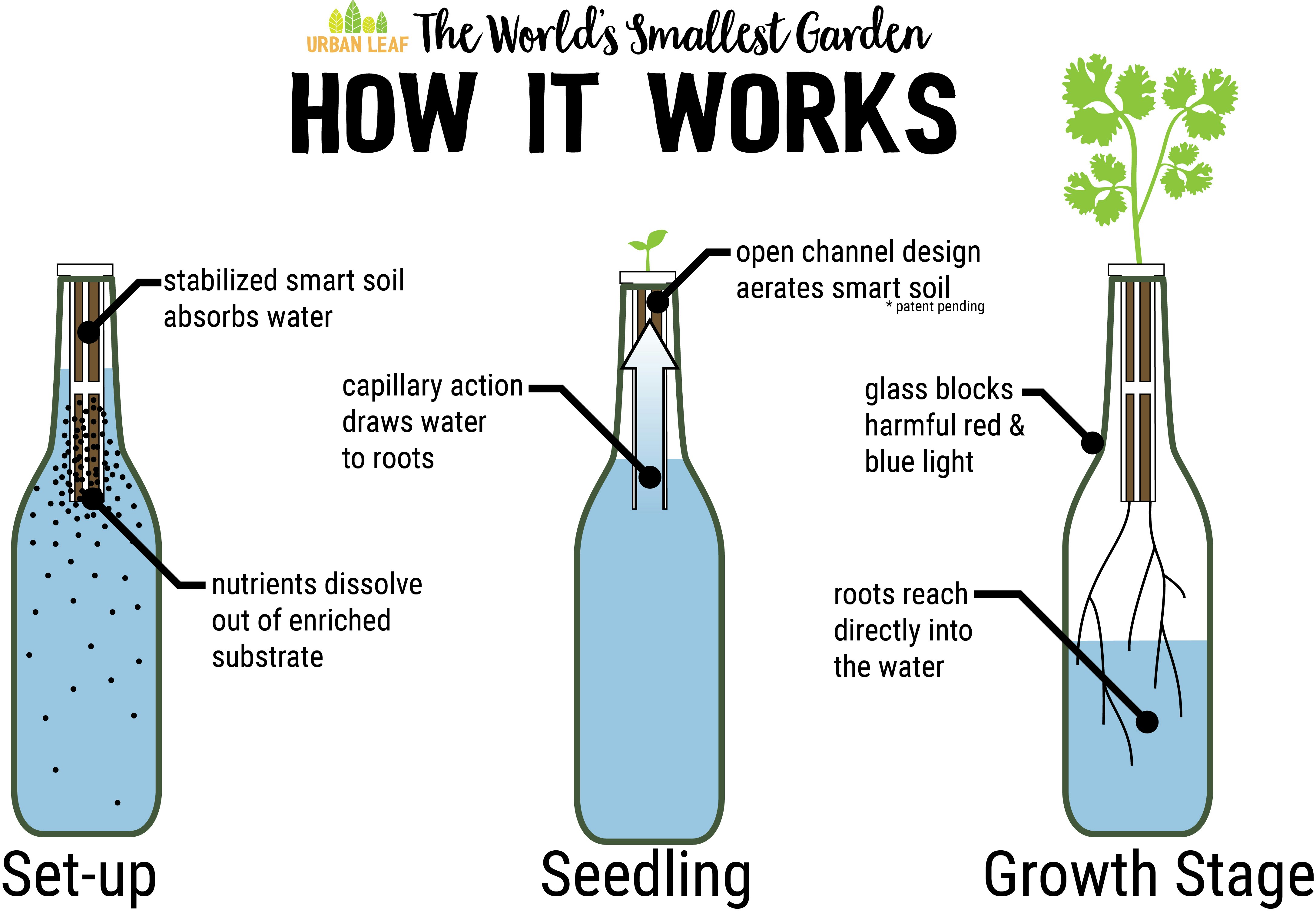 World's Smallest Garden gallery image