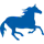 Pony
