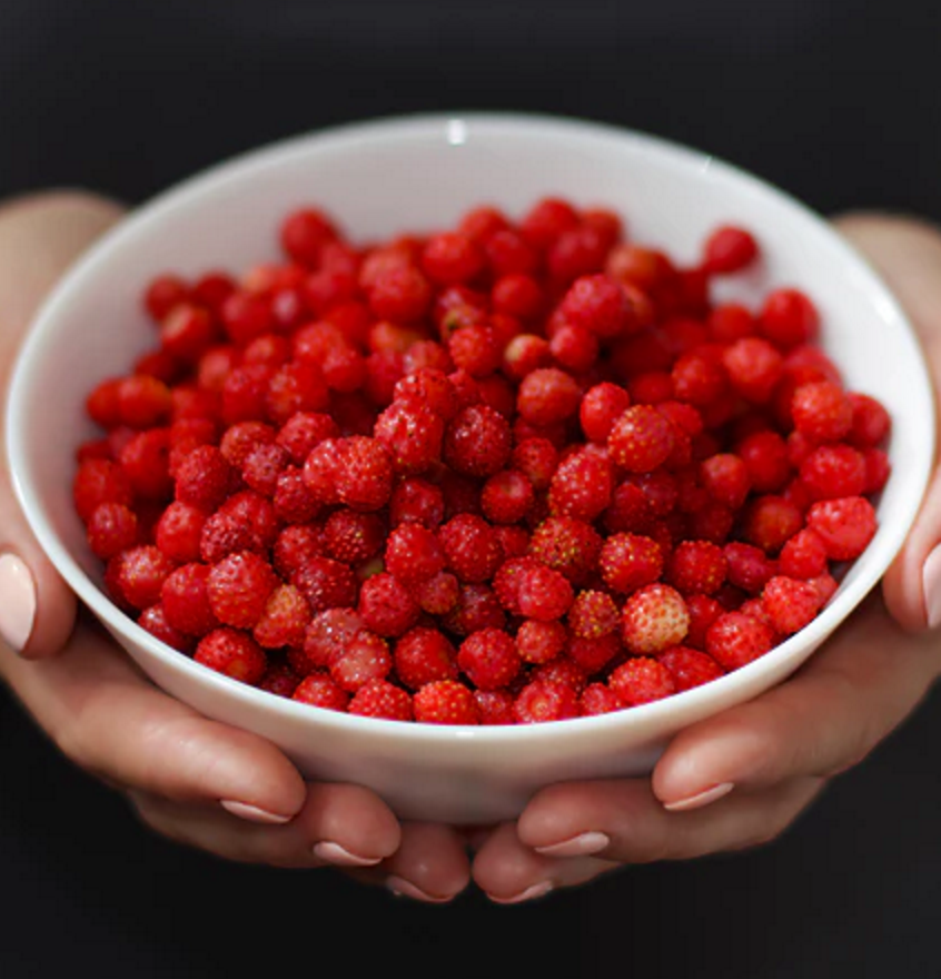 Stocky gallery image