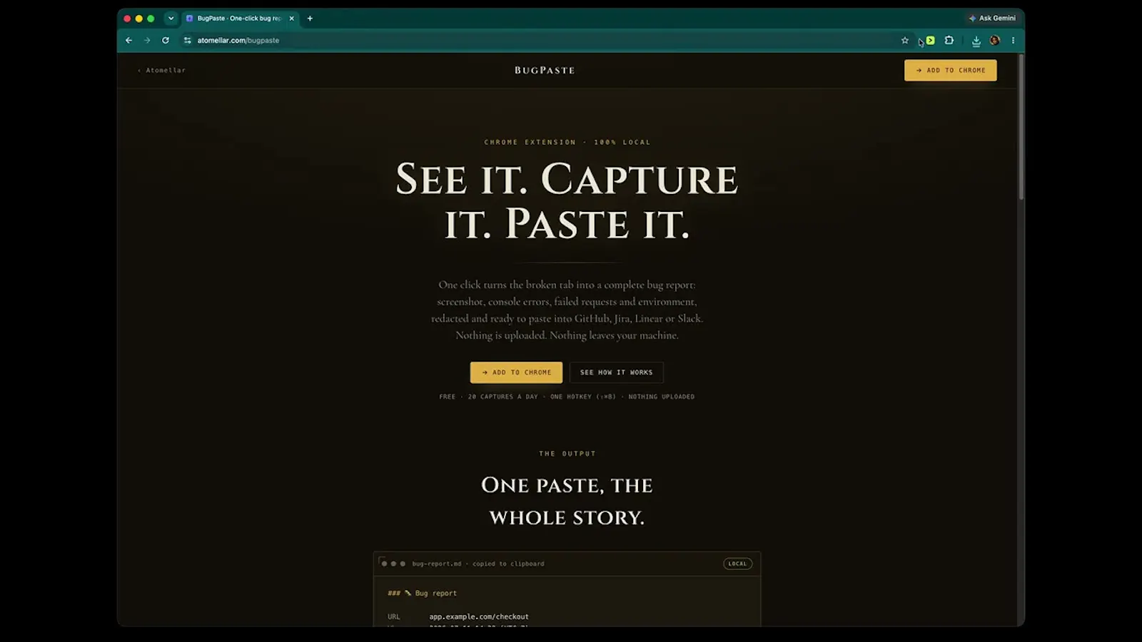 BugPaste screenshot 1 (video preview)