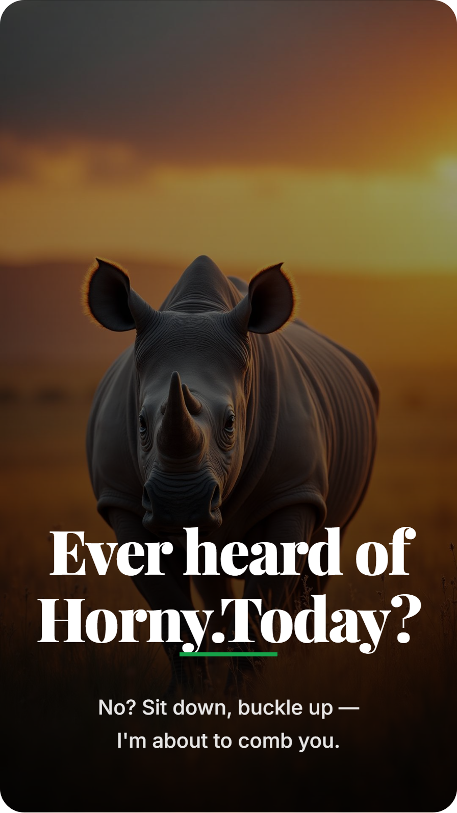 HornyToday gallery image