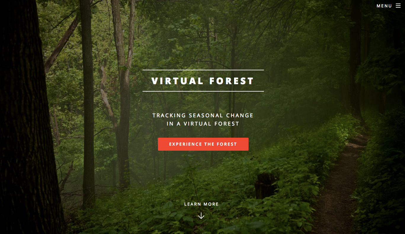 Virtual Forest gallery image