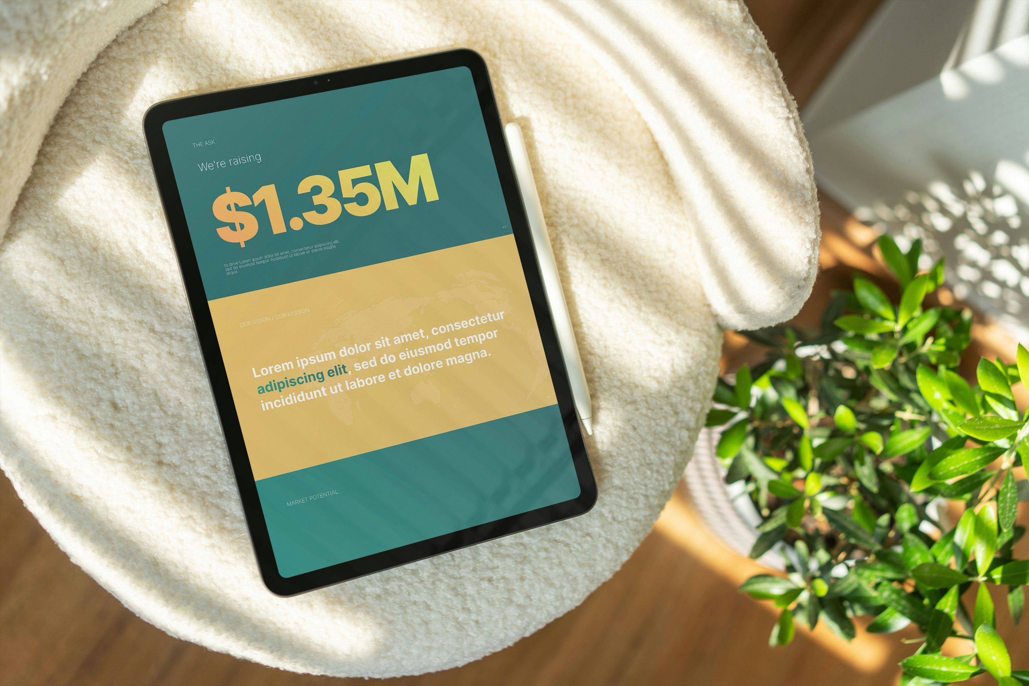 Kiwi: modèle de pitch de pitch gratuitement media 6