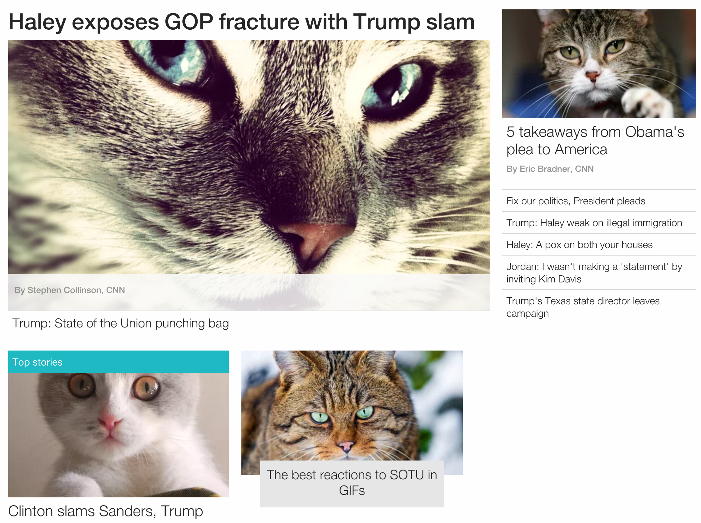 Meow Voyage gallery image