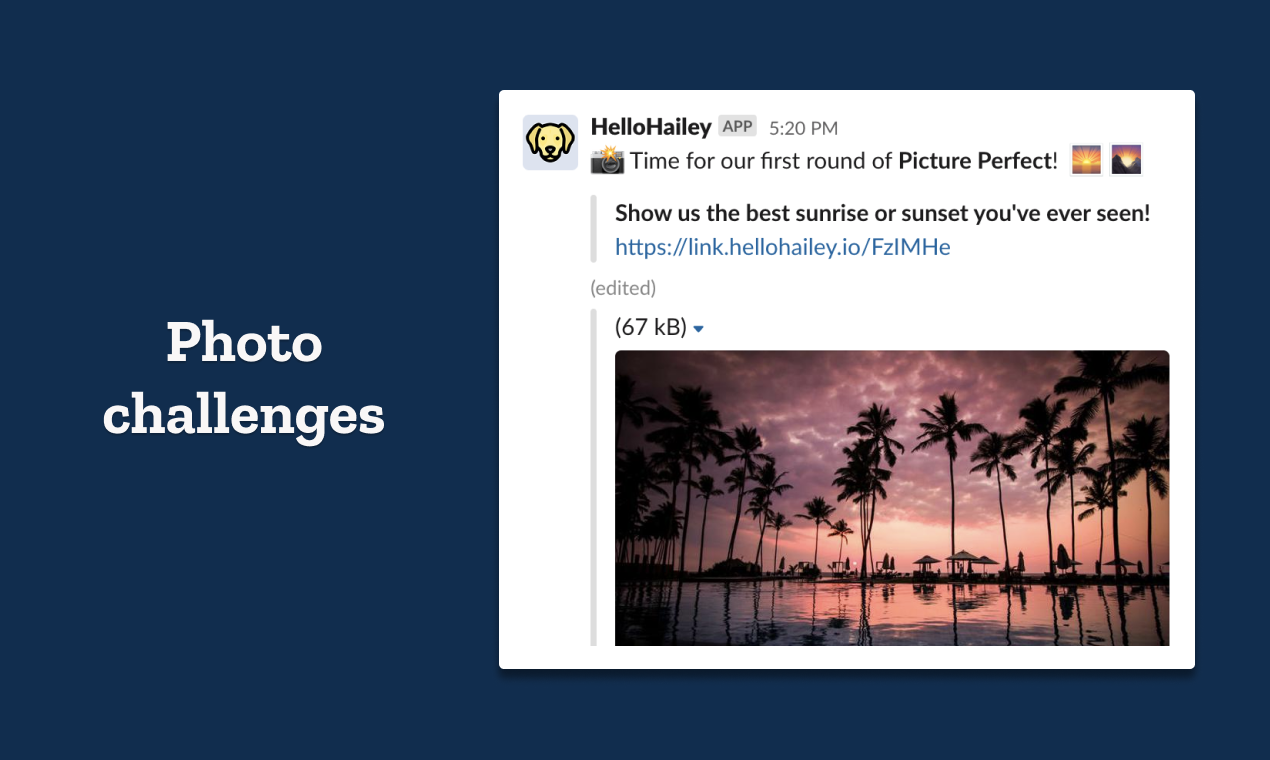 HelloHailey gallery image