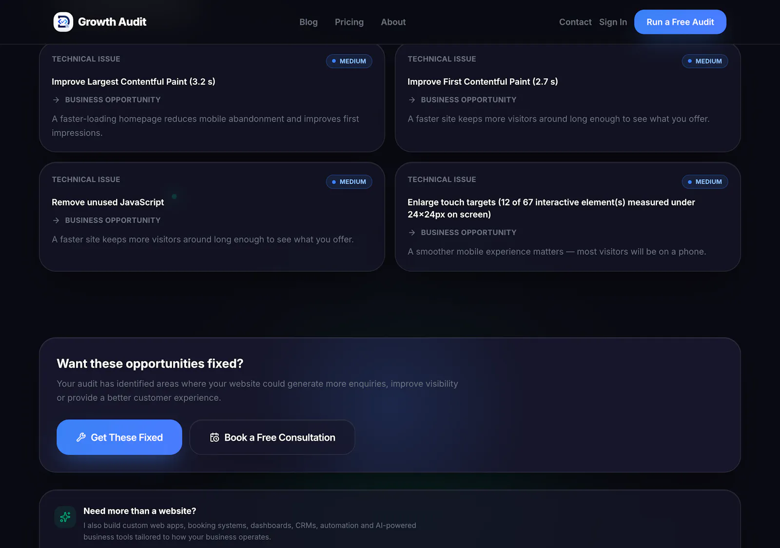 Growth Audit screenshot 3