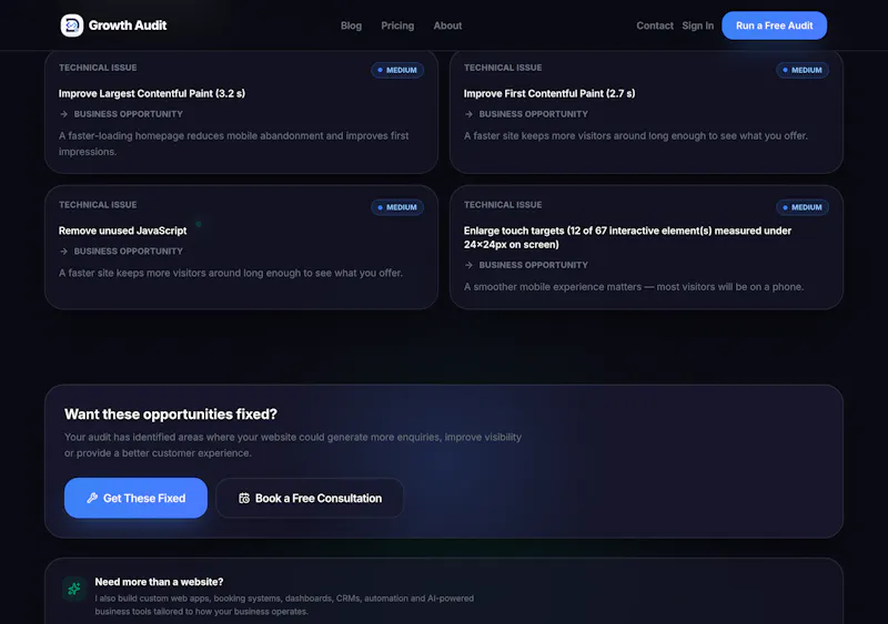 Growth Audit screenshot 3