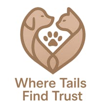 BrandRocket gallery image