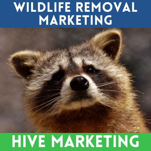 Hive Marketing Lead Generation gallery image
