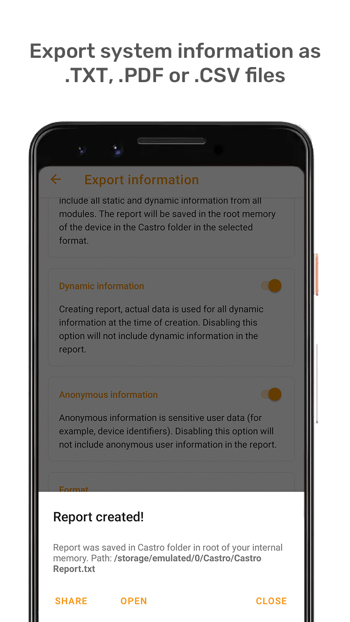 Castro gallery image