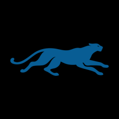 Cheetah Scanner