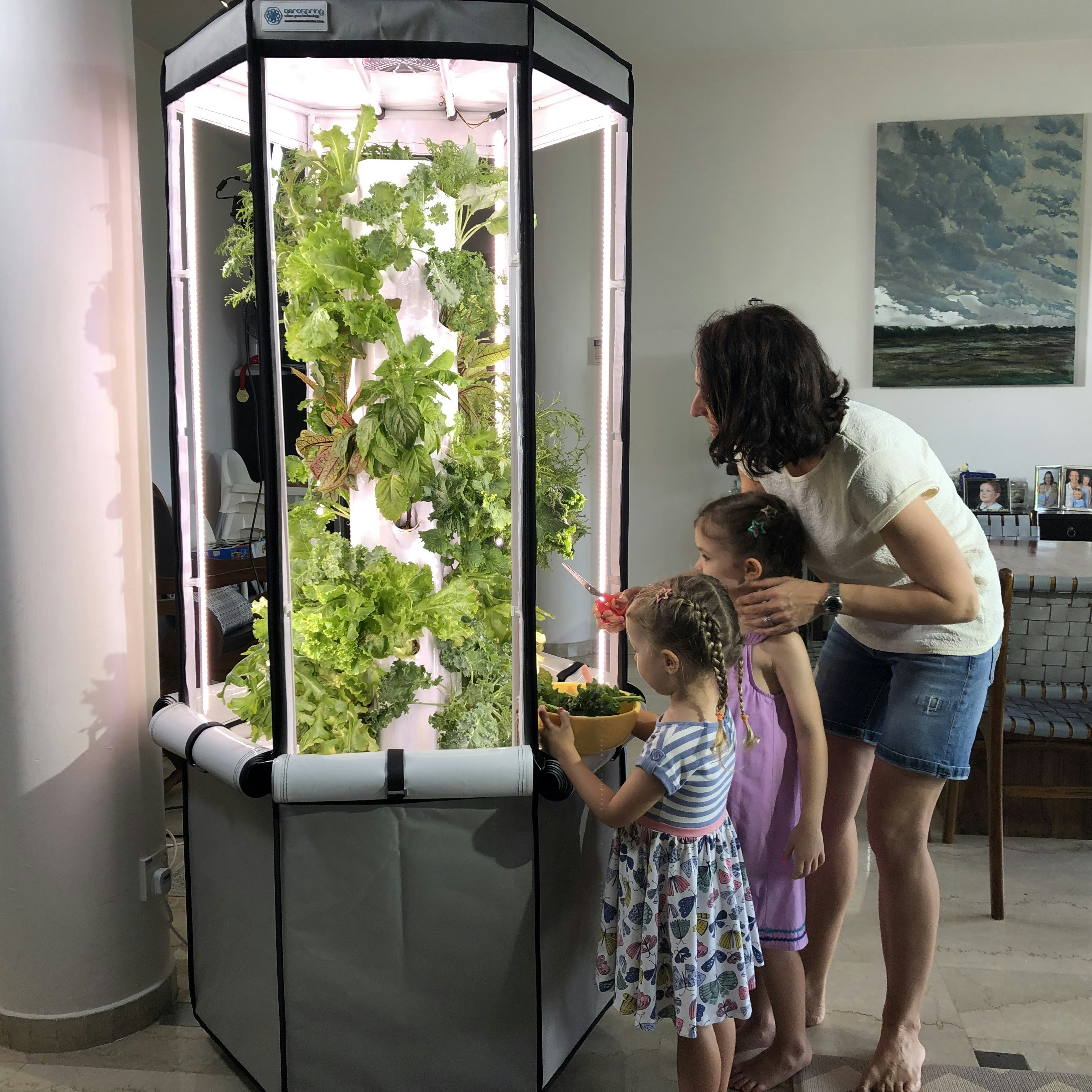 Aerospring Indoor Garden gallery image