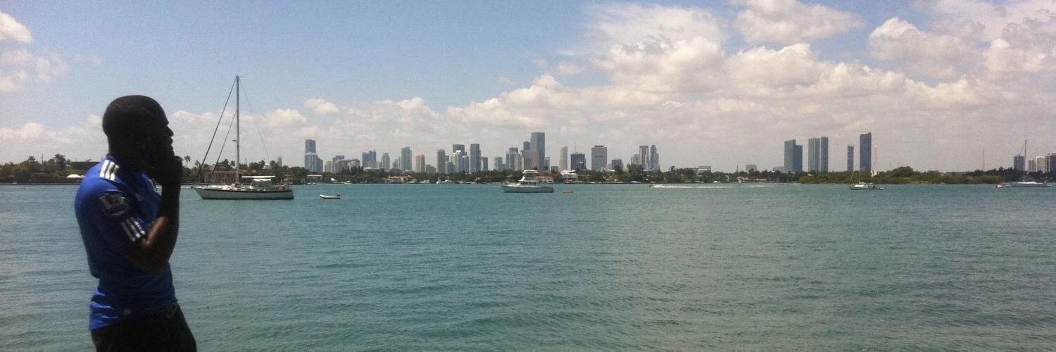 TheAfricanNerd cover