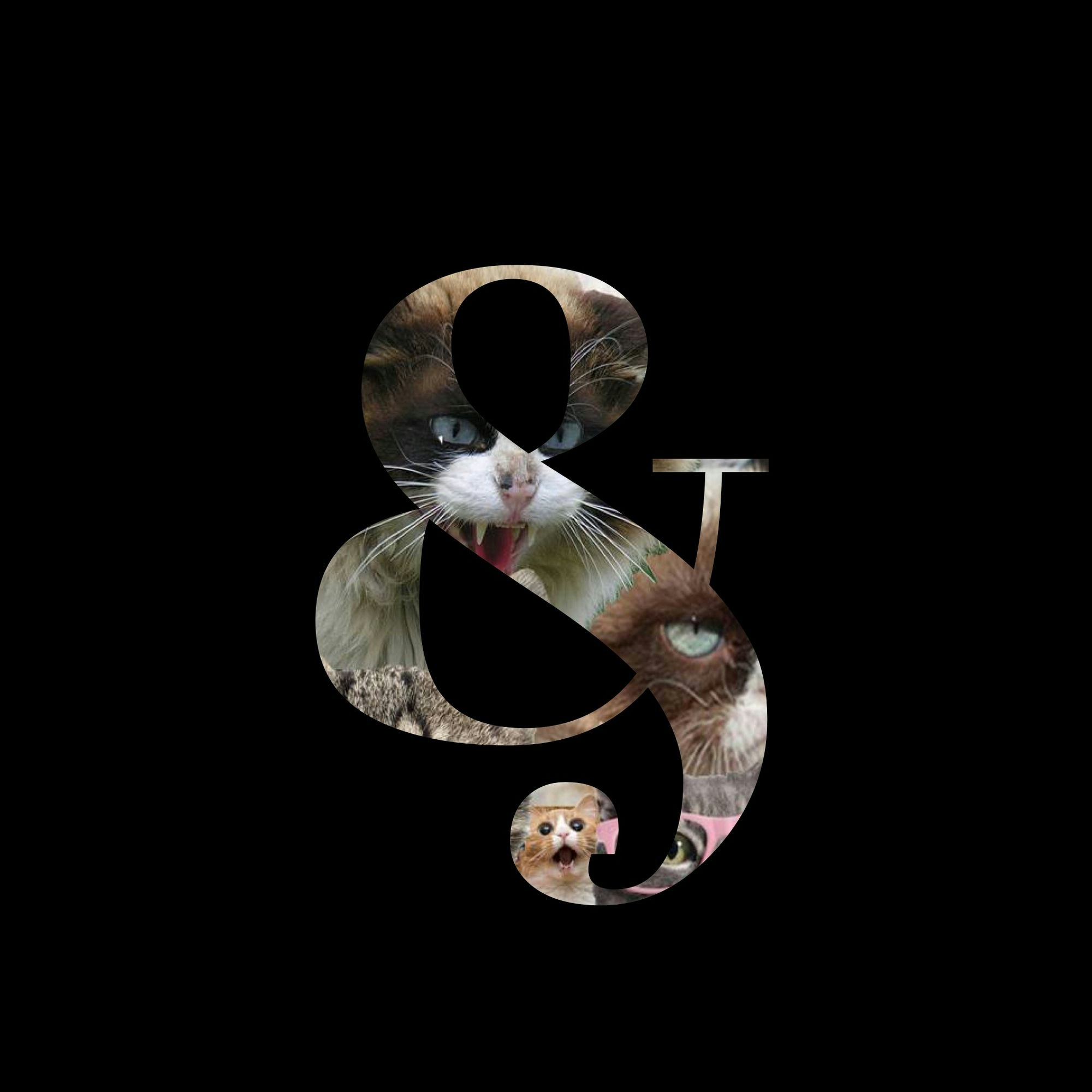 Designer&Designer Podcast gallery image