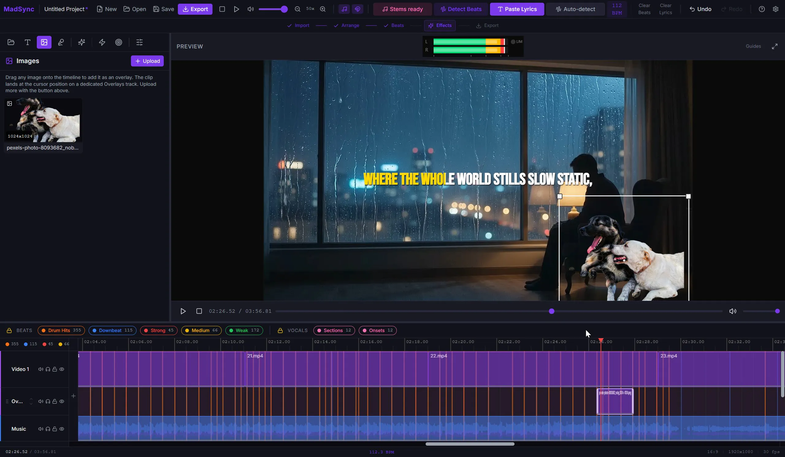 MadSync - Music Video Editor gallery image