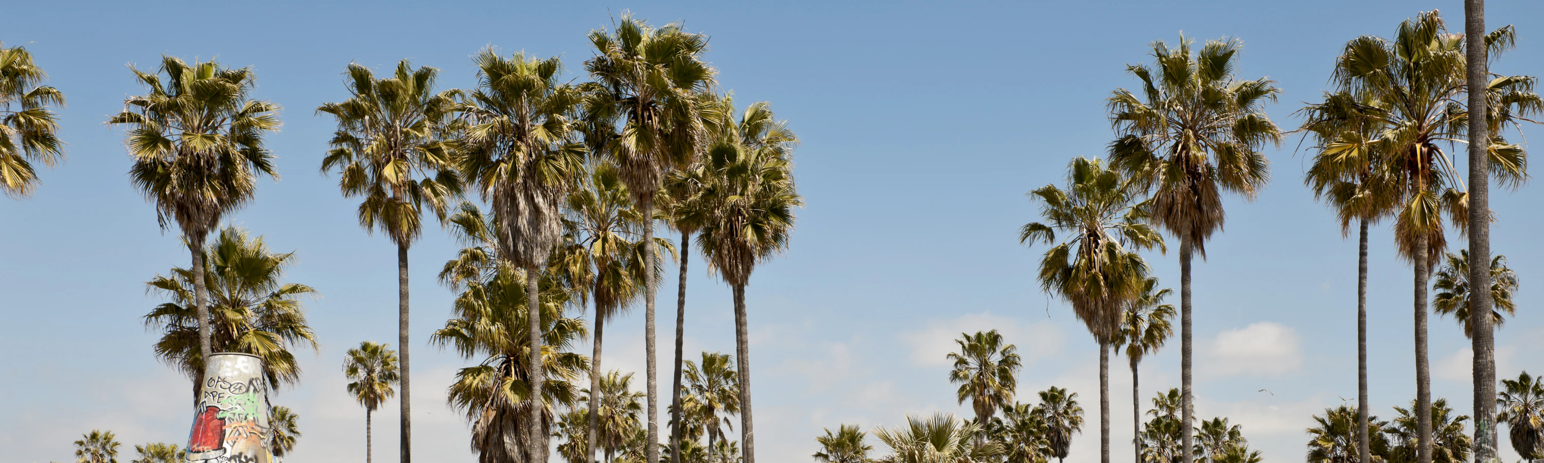 Sofia Quintero cover