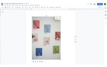 Google Docs Image Utils Extension gallery image