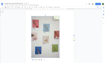 Google Docs Image Utils Extension gallery image