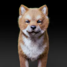 The Digital Dogs gallery image