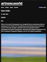 artnow.world gallery image