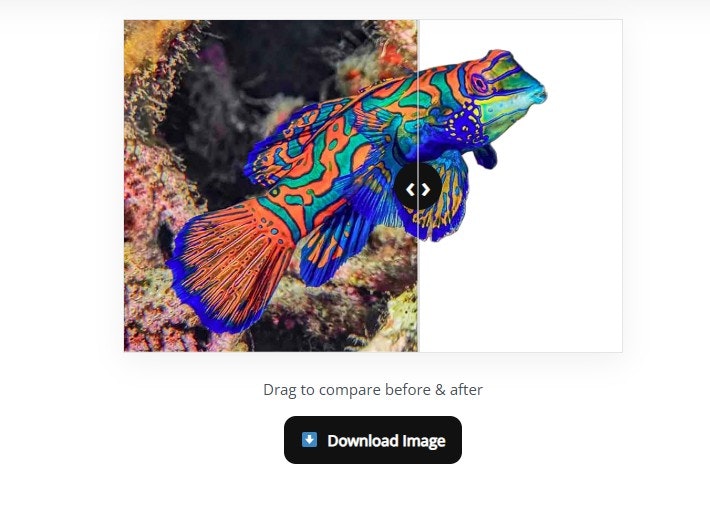 BGSnip gallery image