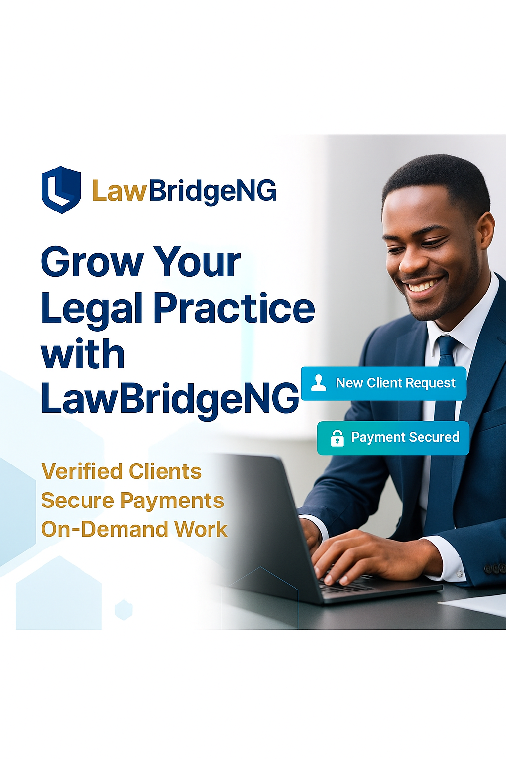 LawBridge NG gallery image